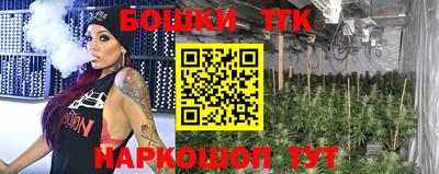 крисы Заводоуковск