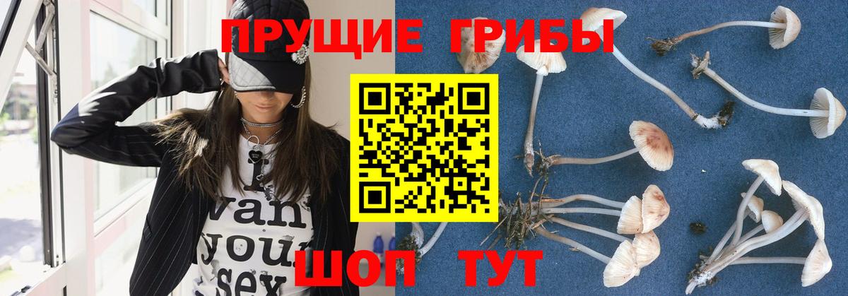 Псилоцибиновые грибы прущие грибы  Галлюциногенные грибы ЛСД  Кушва  Вход с VPN 
