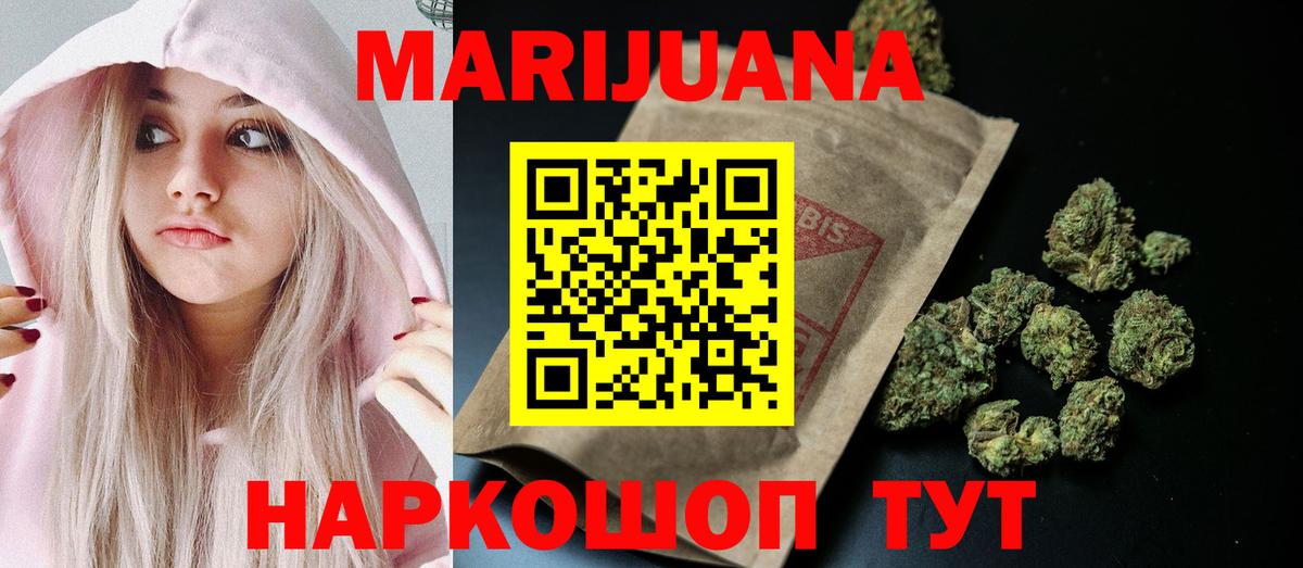 Конопля сатива Кушва